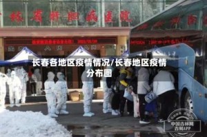 长春各地区疫情情况／长春地区疫情分布图