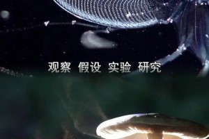给大家科普一下“德扑圈辅助器”确实果然有挂