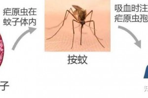 分享科普“wepoker好友房发牌规律”了解开挂过程