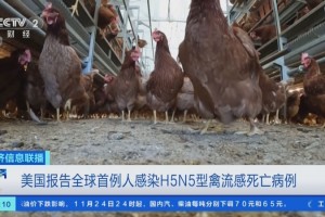“美国单日新增确诊病例逾2.5万例” 美国单日新增确诊逾75万例？