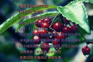玩家必读“皮皮麻将有挂吗”实际有挂