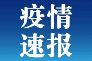 31省份新增确诊22例本土4例在辽宁.辽宁新增本土确诊病例行动轨迹