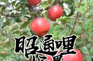 查到实测辅助“镇雄关春天控制牌怎么玩”实际有挂