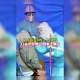 内蒙古新增2例确诊系夫妻〃内蒙古夫妇确诊