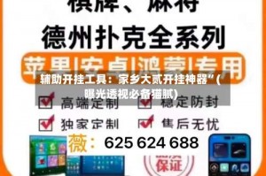 辅助开挂工具：家乡大贰开挂神器”(曝光透视必备猫腻)