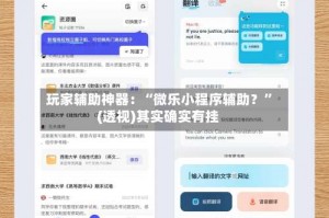玩家辅助神器：“微乐小程序辅助？”(透视)其实确实有挂