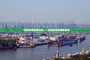 31省区市增24例病例.31省区市增17例病例