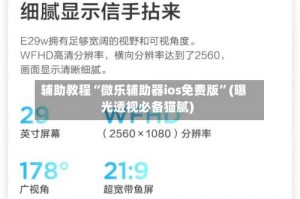 辅助教程“微乐辅助器ios免费版”(曝光透视必备猫腻)