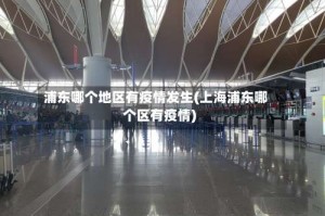 浦东哪个地区有疫情发生(上海浦东哪个区有疫情)