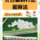 我来教大家“开心泉州麻将怎么才会赢”外卦神器下载安装