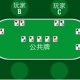 玩家攻略“德州局wepoker怎么开挂”开挂器软件安装