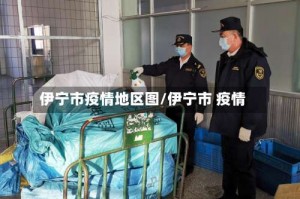 伊宁市疫情地区图／伊宁市 疫情