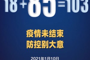 邢台疫情最新数据消息︰(邢台疫情最新动态)