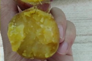 盘点一款“菠萝德州测别人挂了”(真的有挂)