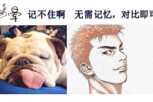 玩家攻略宝典“德州翻前胜率”(原来真的有挂)