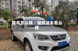 陆风怎么样／陆风这车怎么样