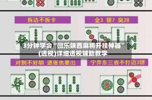 3分钟学会“微乐陕西麻将开挂神器”(透视)详细透视辅助教学