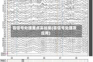 盲信号处理重点实验室(盲信号处理及应用)