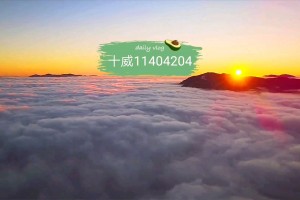 分析必看“雀神麻将有人开了挂玩时会出现异常”(确实是有挂)