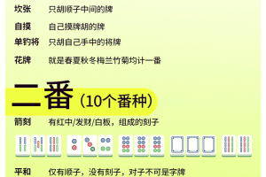 带你了解“微乐海南麻将开挂神器”了解开挂过程