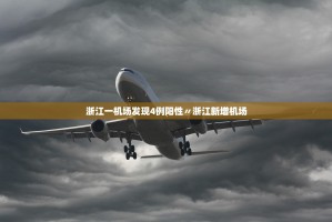 31省新增本土确诊106例:河北35例,31省市区新增本土病例107例,其中河北新增90例