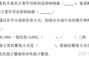 传递经验“微扑克必赢神器软件助手”助赢开挂器（安装教程）