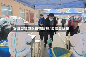 安徽灵璧地区疫情防控／灵璧县防疫