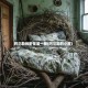 阿尔勒的卧室第一版(阿尔勒的小屋)