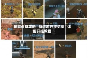 玩家必备攻略“新道游开挂免费”详细开挂教程