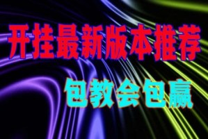实测分享“wpk软件辅助挂会被检测出来吗”(确实是有挂)