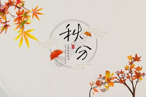 玩家攻略宝典“微乐27王免费挂”的确是有挂