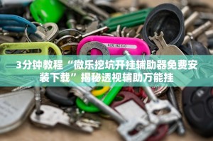 玩家必备“微乐安徽麻将有人用挂吗”助赢开挂器（安装教程）
