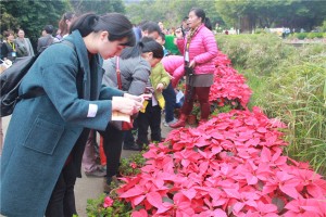 科普一下“全民福州麻将有没有挂”分享用挂教程