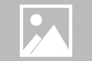 保时捷历代车型(保时捷历代代号)