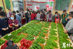 寿光疫情最新消息,寿光疫情通知2021