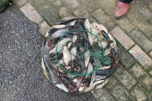 盘点一款“中至余干510k辅助安装”分享装挂详细步