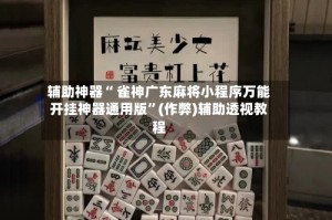 介绍一款“微乐山东麻将万能开挂器通用版”必赢神器通用版