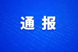 重大通报“为了麻将有挂吗”详细分享开挂
