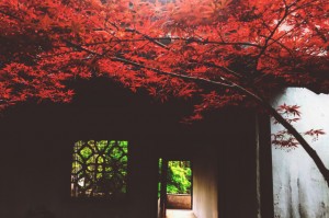 介绍一款“德州A10跑99胜率”详细分享装挂步骤
