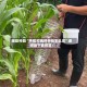 辅助神器“手机打麻将开挂怎么买”通用版下载教程！
