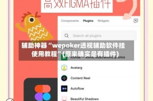 辅助神器“wepoker透视辅助软件挂使用教程”(原来确实是有插件)