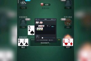 玩家攻略宝典“德扑翻前胜率表”(确实有挂)