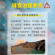 必看科普“新迅奇麻将有挂怎么买”开挂器软件安装
