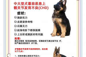 介绍一款“德扑圈辅助”分享装挂步骤