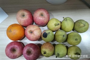 为何上海新增无症状比确诊多45倍?︰(上海 新增无症状)