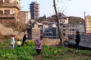 教程分享“镇雄关春天怎么知道别人开挂”确实果然有挂