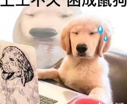 玩家点评“哈狗游十三道开挂教程”分享装挂步骤