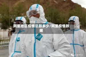 阿里地区疫情总数多少／阿里疫情数据