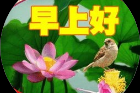 今日实测“聚闲麻将挂先试用后付款”其实真的有挂