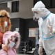 浙江昨日新增本土确诊13例︰(浙江本土新增确诊病例今天)